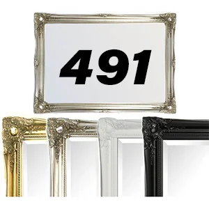 Mirror Code 491