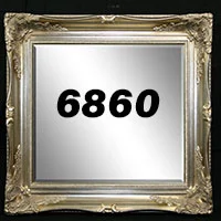 Mirror Code 6860s